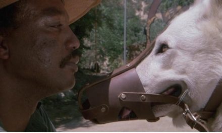 ‘Cão Branco’: um filme maldito, mas uma poderosa obra anti-racista