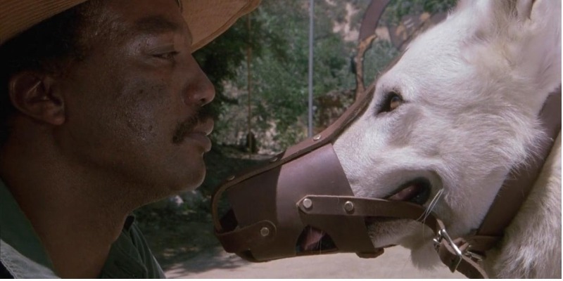 ‘Cão Branco’: um filme maldito, mas uma poderosa obra anti-racista