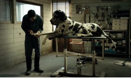 Casting canino de ‘Dogman’ conquista Palm Dog de Cannes