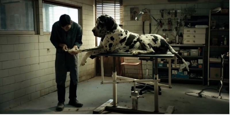 Casting canino de ‘Dogman’ conquista Palm Dog de Cannes