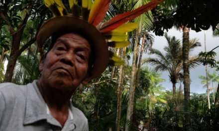 Agência ‘Amazônia Real’ lança documentário ‘Kumuã’ em Manaus