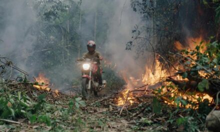 Manaus recebe pré-estreia do premiado documentário ‘O Território’