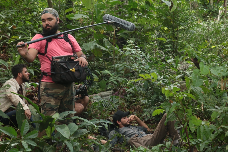 ‘Amazon Wildtrack’ traz a riqueza da sonoridade da Amazônia para internet