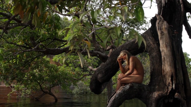 ‘Galeria Decolonial’: a construção de um olhar singelo sobre a Amazônia